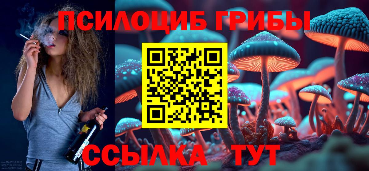 Галлюциногенные грибы MAGIC MUSHROOMS  продажа наркотиков  Кунгур  Вход с VPN 