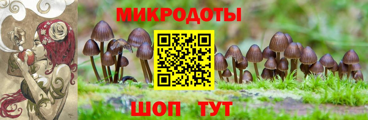 Псилоцибиновые грибы прущие грибы Кунгур